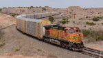 SB autoracks